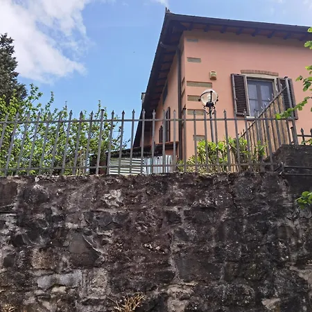 Paradiso Julia *