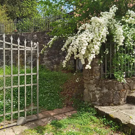 Paradiso Julia Dicomano