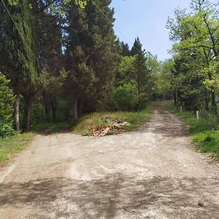 Paradiso Julia Πανσιόν