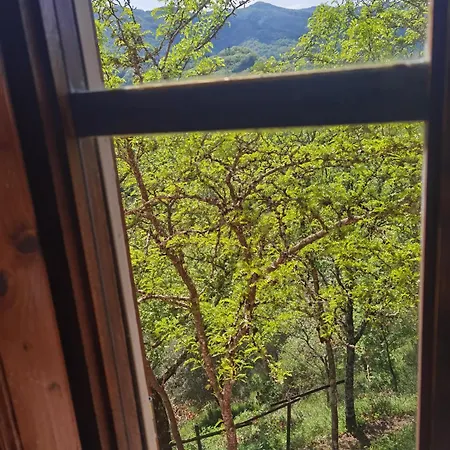 Paradiso Julia Πανσιόν